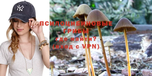 mdpv Нея