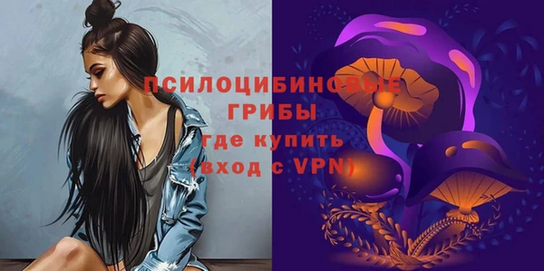 гашик Армянск