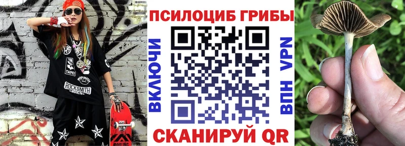 магазин    Карабаш  мориарти официальный сайт  Псилоцибиновые грибы мицелий 